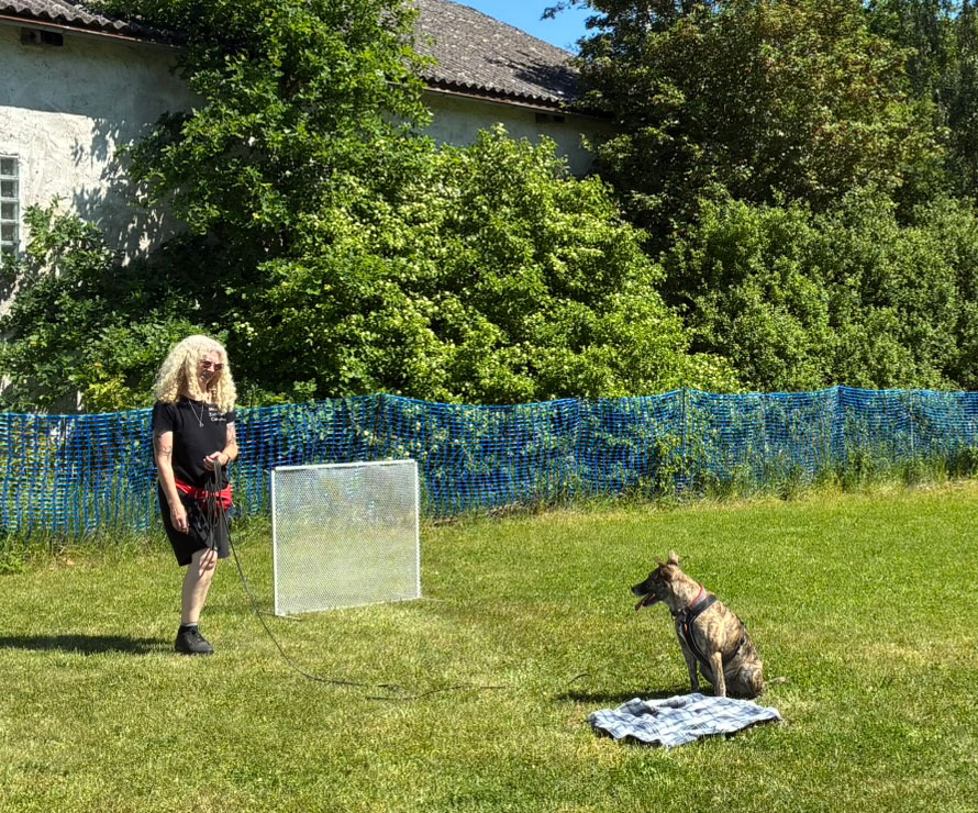 Training und Beschäftigung